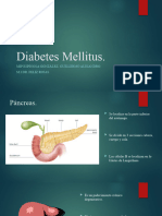 Diabetes Mellitus