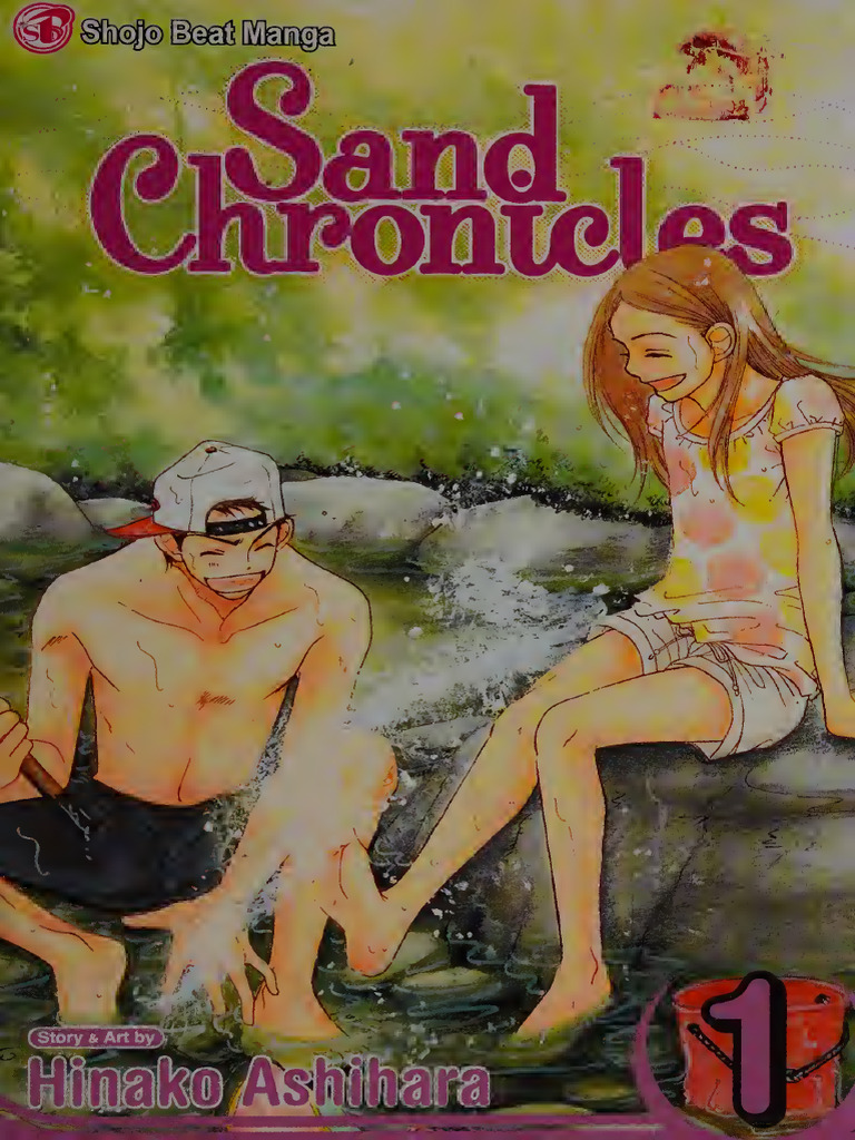CHI　Sand Chronicles 英語版 Sand Chronicles Volume 8 Hinako Ashihara English Manga Viz