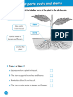 Macmillan Science Level 3 Workbook Topic 1 PP 4 7