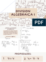 Division Algebraica I