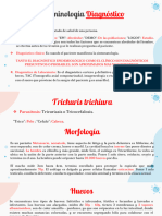 Preparaduría #3. Trichuris Trichiura y Trichinella Spiralis