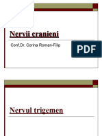 Nervii Cranieni V, VII