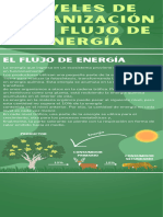 Infografia Reciclaje Ecologia Ilustrado Verde Oscuro