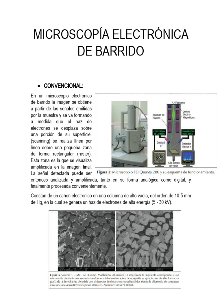 Microscopía Electrónica De Barrido Pdf