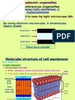 Biomed 02 (2008)