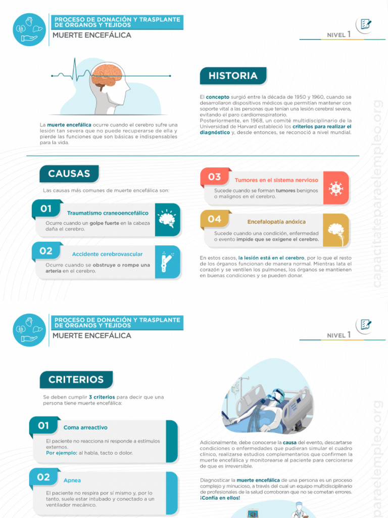 Muerte Encefálica PDF