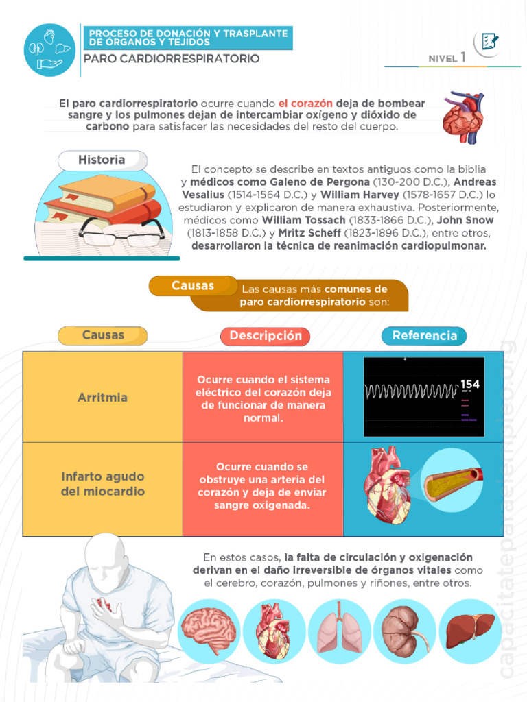 Paro Cardiorrespiratorio | PDF