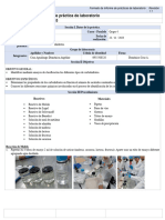 Informe Bioquímica - Doménica Cruz