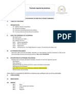 Formato de Prácticas Iet 2022