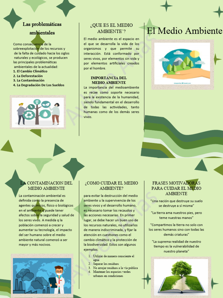 Que Es El Medio Ambiente | PDF | Entorno natural | Contaminación