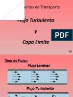 7 Flujo Turbulento y Capa Limite