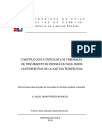 Construcción y Crítica de Los Tribunales de Tratamiento de Drogas en Chile Desde La Perspectiva de La Justicia Terapéutica