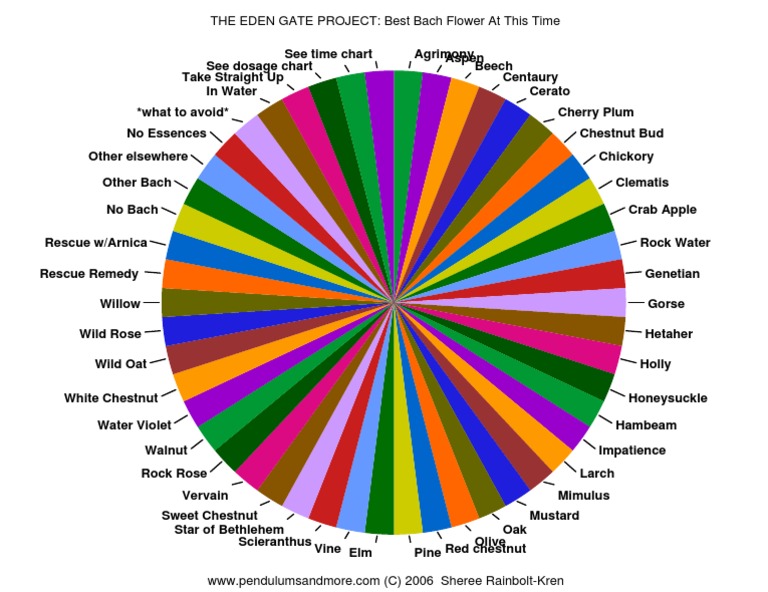 bachflowers-pendulum-chart-pdf-bach-flower-remedies-plants