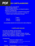 Cartilago y Oseo1