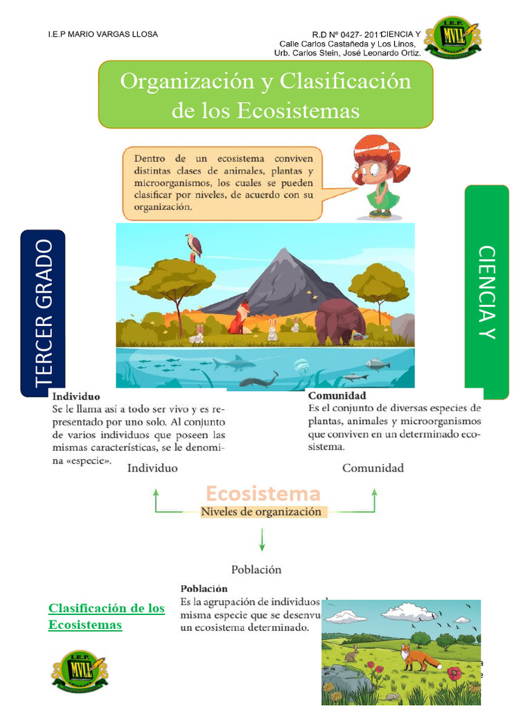 Clasificación de Ecosistemas para Niños | PDF | Entorno natural ...