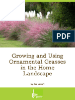 Ornamental Grasses Guide Reduced