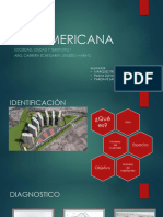 VILLA PANAMERICANA Diapositiva Final