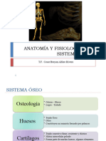 Anatomia y Fisiologia Del Sistema Oseo