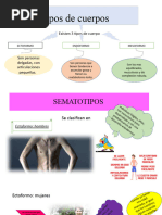 Tipos de Complexiones Corporales | PDF