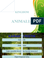 Animalia