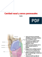 13 Cavidad Nasal y Senos Paranasales-1