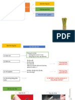 Kiểm Nghiệm Quá Trình Chọt Ống Hút Cỏ
