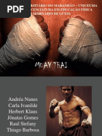 Download Muay Thai by Paulo Dos Santos Neto SN69044954 doc pdf