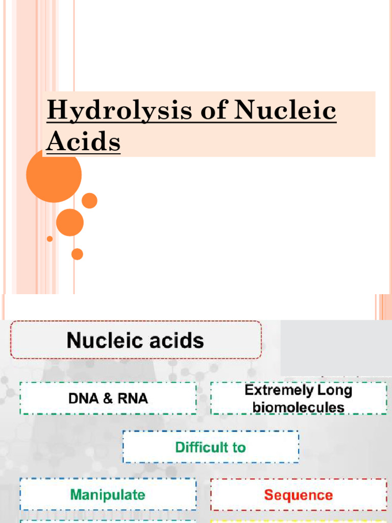 Hydrolysis of Nucleic Acids PDF
