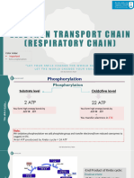 3 - Electron Transport Chain