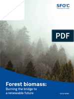 Issue Brief - Forest Biomass Burning The Bridge To A Renewable Future