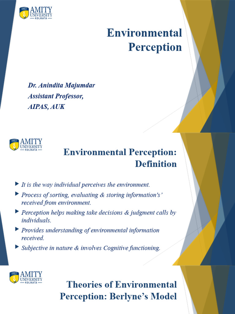 Environmental Perception Concept & Theory PDF Perception Curiosity