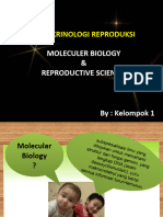endokrin biomolekuler