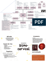 Trabalho de Parto Prematuro