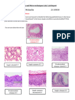 2.epithelial Tissue Report