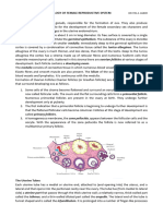 ANA 222 Female Reproductive System