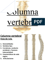 1) Columna