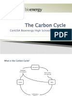 Lesson 2-Carbon Cycle