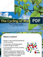 Es05 Cycling of Matter - Carbon Cycle