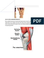 pES ANSERINE BURSITIS