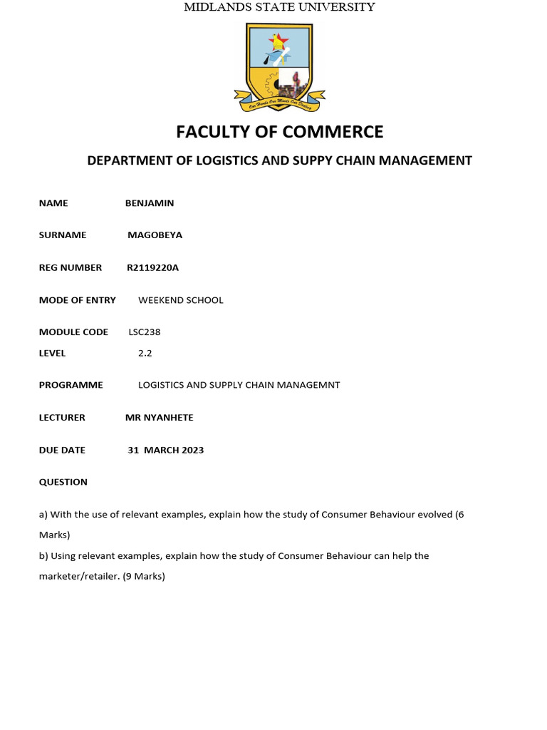 Consumer Behaviour Assignment | PDF | Consumer Behaviour | Marketing