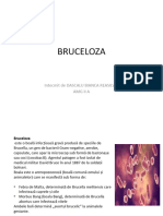 BRUCELOZA