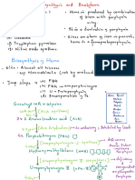 Heme Synthesis - Breakdown