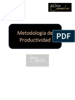 Metodologia de Productividad Renovado