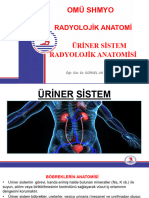 Üri̇ner Si̇stem Radyoloji̇k Antomi̇si̇