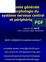 Anatomie Générale Et Morphologie Du SNC Et Périphérique3h