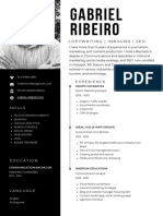 Resume Gabriel-Ribeiro