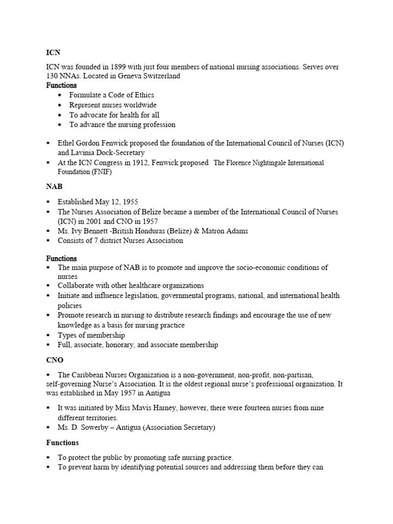 Functions of the International Council of Nurses | PDF | Nursing ...