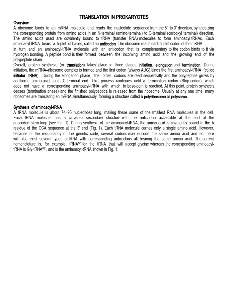 Translation In Prokaryotes Pdf Translation Biology Ribosome