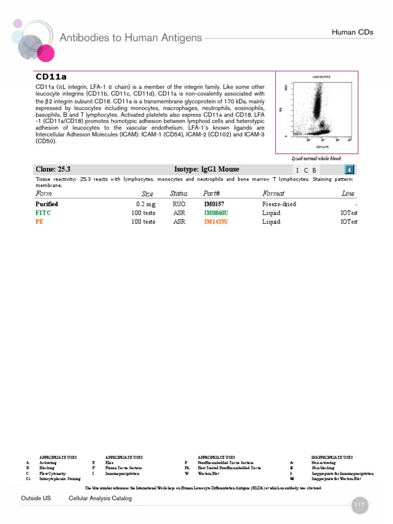 CD11a Integrin: Functions and Uses | PDF