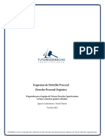 Derecho Procesal (Orga Ünico) (Esquemas) .V.01.05.22